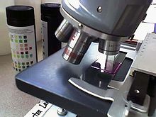 Een typische microscoopopstelling.   Een gekleurd preparaat op een glazen objectglaasje wordt op de tafel van een microscoop geplaatst.  