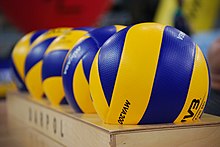 official volleyballs with FIVB logo