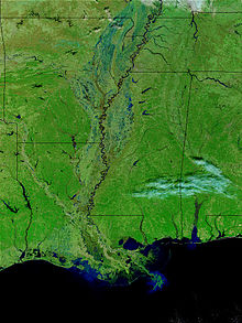 Satellite image of the lower Mississippi River (false color).
