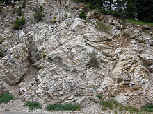 Marmur z okresu Mississippian w Big Cottonwood Canyon, Góry Wasatch, Utah