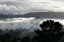 Misty morning landscapes