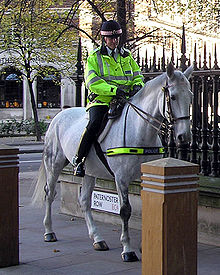 Príslušník londýnskej mestskej polície na koni