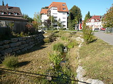 The Neckar in Schwenningen