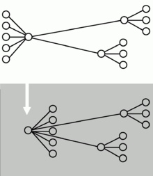 Diagram: Network Topology