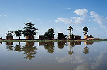 Purvo namai Debo ežero saloje, plačioje Nigerio upės atkarpoje