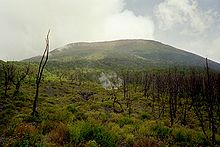Virunga volcanoes landscape