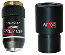 Une lentille d'objectif de microscope ; à gauche 100x, et une lentille d'oculaire ; à droite 10x