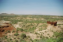 Les gorges d'Olduvai, février 2006