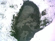 Winter Puddle