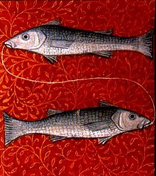 The fish connected by a string (medieval book illustration)