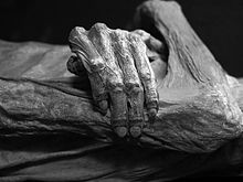 Os corpos mortos podem ser mumificados naturalmente ou por intenção.