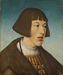 Charles' younger brother Ferdinand, deputy in the realm (Hans Maler zu Schwaz)