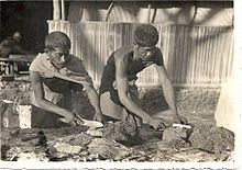 Tobacco processing in Portuguese Timor in the 1930s