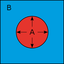 Fig. 1 Osmotic pressure at equilibrium