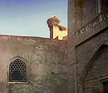 Čapí hnízdo na vrcholu palácové zdi, před rokem 1915