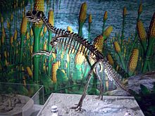 Un ceratopsian timpuriu: Psittacosaurus