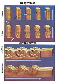Seismic waves propagate as body waves or surface waves.