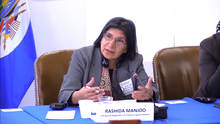 Rashida Manjoo, UN Special Rapporteur, 2014