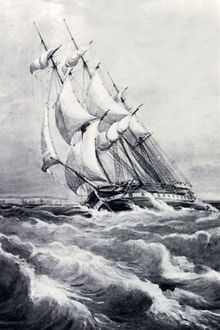 HMS RatelslangIn de 19e eeuw reisden   naturalisten op dit soort schepen! Thomas Henry Huxley ging de wereld rond op dit schip. Hij vond zijn vrouw in Sydney, Australië