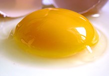De kleur van een eierdooier komt van xanthofylpigmenten.