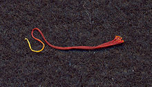 Primo piano di un singolo filo di croco (lo stigma essiccato). La lunghezza effettiva è di circa 20 mm (0,79 pollici).