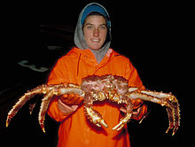 Une femme tenant un crabe royal rouge (Paralithodes camtschaticus)