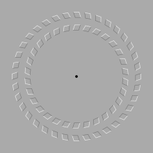 Uma ilusão ótica. Os dois círculos parecem se mover quando a cabeça do espectador está se movendo para frente e para trás enquanto olha o ponto negro.