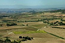 Vinhedos de Rioja perto do Ebro