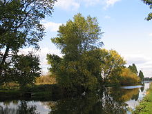 El salvaje oeste de los pantanos visto a través del río Lea  