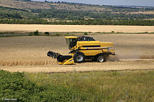Wheat harvest in Rostov oblast