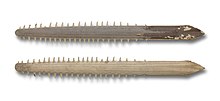 Upper and lower side of the rostrum of an Australian sawfish.