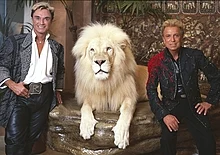 Roy Horn (vas.) ja Siegfried Fischbacher valkoisen leijonansa kanssa.  
