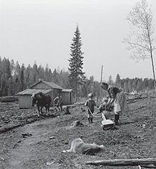 An evacuated Karelian family works on their new farm in southern Finland.