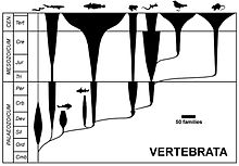 Este tipo de diagrama mostra os períodos geológicos e a relativa abundância.