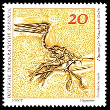 Questo francobollo dell'ex Repubblica Democratica Tedesca mostra un fossile dello pterosauro Pterodactylus kochi del Museum für Naturkunde di Berlino Est, 1973.