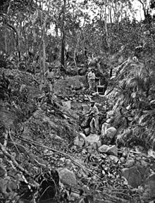 Op zoek naar goud in Queensland,1870