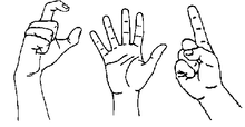 Några handformer på turkiskt teckenspråk.  