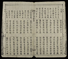 Nguyen Du'nun yazdığı Kieu Masalı'ndan bir sayfa. Bu roman ilk olarak 1820 yılında yayımlanmıştır ve Nôm dilinin en tanınmış eseridir. Gösterilen baskı 19. yüzyılın sonlarında basılmıştır.