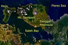 Satellite image of Tambora