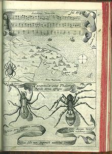 Athanasius Kircher (1641): Tarantella as antidote (antidotum tarantulae)