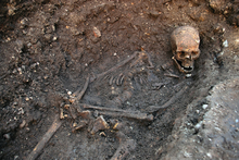 Richards Skelett wurde 2012 entdeckt