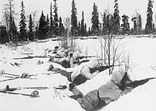 Les troupes de ski finlandaises