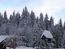 The Thuringian Forest in winter. Around 32 percent of Germany's land area is forested.