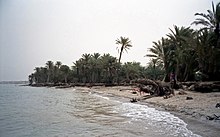 Red Sea beach near Chaucha