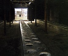 Con latrine come queste, ad Auschwitz l'igiene era impossibile