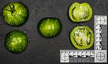 Views of the fruit and cross sections, here a ripe green variety