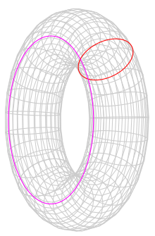 The 2-dimensional torus as a product of two circles.
