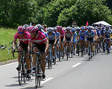 Peloton (betyder "flok" på fransk) i Tour de France
