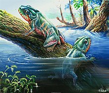 Living reconstruction of one of the oldest known modern amphibians: Triadobatrachus from the Lower Triassic of Madagascar