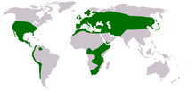 Distribution map of the genus